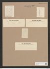 Gomphonema arcticum Grun. (de-Toni-Nr.: Genus 37, Species 1763) Zeichnungen Sammlung Grunow Nr. 3512 (NHMW-BOT-W0371075)